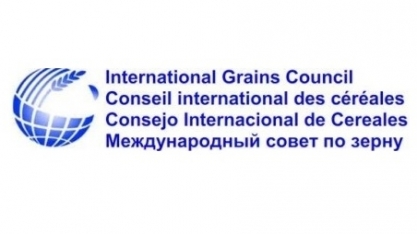 IGC eleva projeções para safras de milho e trigo 2017/18