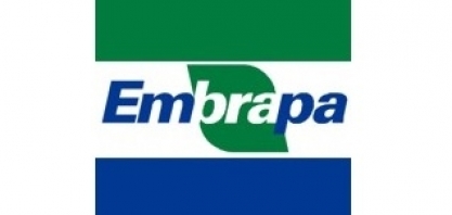 Por favor, Embrapa: acorde! – Por Zander Navarro  