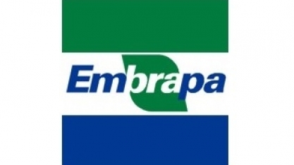 Por favor, Embrapa: acorde! – Por Zander Navarro  