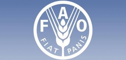 Índice de preços da FAO subiu 8,2% em 2017 