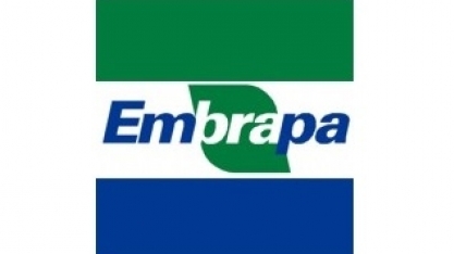 Etapa final seleciona 7 empresas para receber aporte de até R$ 5 milhões 