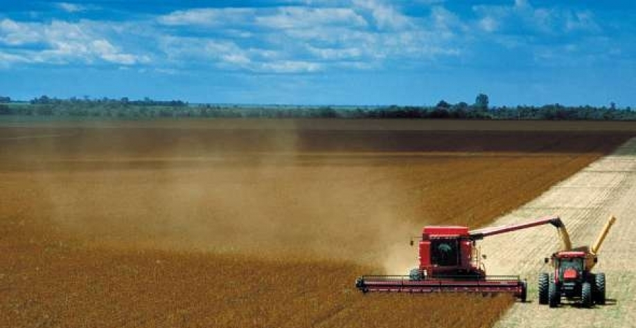 Os limites da agricultura no Brasil–Por Alysson Paolinelli e Antonio Licio 