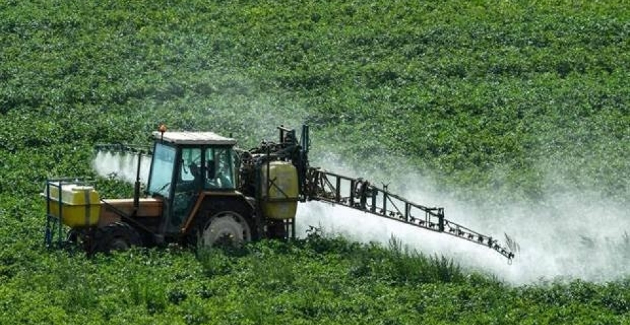  Plantação em Meteren, na França