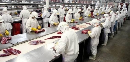 Frigoríficos se recuperam e voltam a gerar empregos