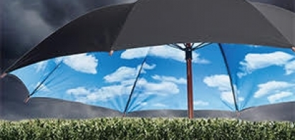 Enxugamento de subsídio ao seguro rural muda estratégia do setor  