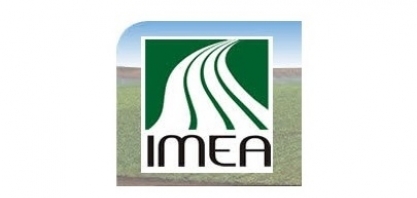 Colheita de soja em Mato Grosso está atrasada e chuva ainda é risco