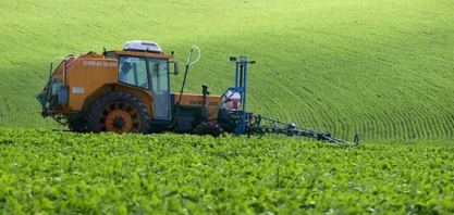 Renovada a confiança no mercado doméstico