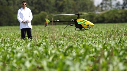 Embrapa enfrenta sua maior crise em 45 anos