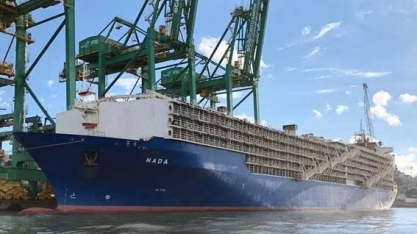 Justiça libera navio  para deixar porto de Santos com 25 mil bois