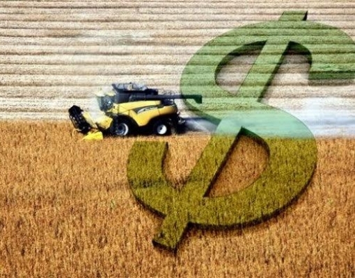 Valor Bruto da Produção tende a encolher no País