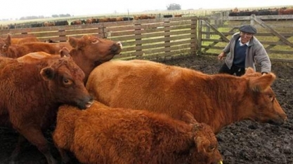  Melhora afeta produtor brasileiro, que tinha ganhado participação no vizinho.
