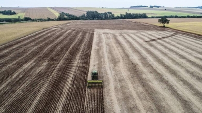 México busca milho no Brasil diante de temor sobre acordo com EUA