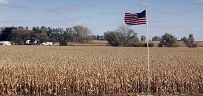 EUA apontam fim da dominância de 35 anos do milho em 2018