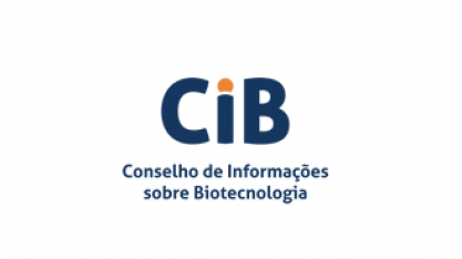 21 anos de dados confirmam segurança de milho transgênico