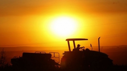 Agronegócio surpreende e ajuda a elevar superavit da balança comercial  