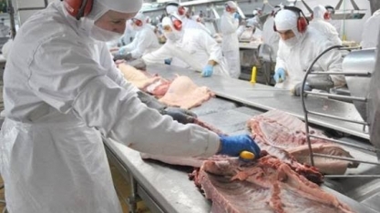 Ausência de fiscais afeta exportações para a China