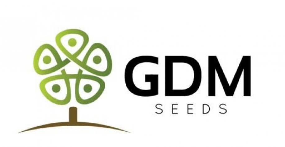 GDM mira Centro-Oeste para crescer em sementes