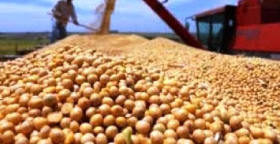 Brasil ganha fatia nas importações de soja feitas pela China em janeiro 