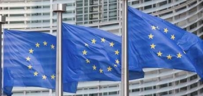 País não consegue cumprir cota de exportação de frango salgado à UE  