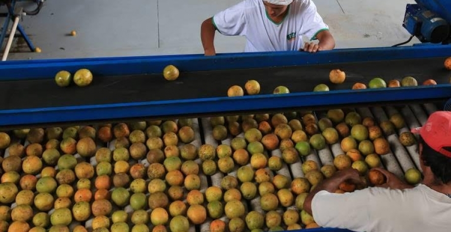 Linha de produção de suco da empresa Life Sucos