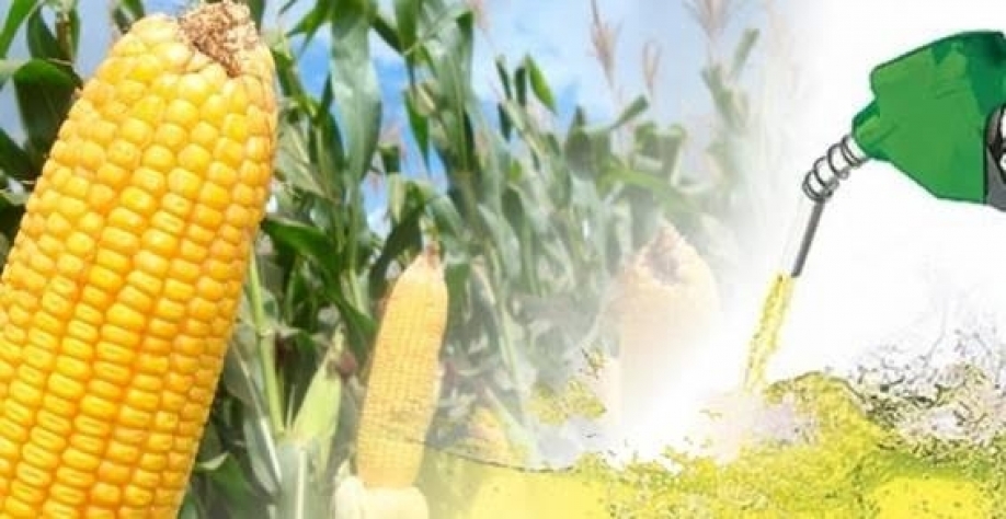 Produção de etanol de milho domina oferta na entressafra de cana,diz Única