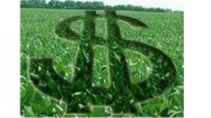 Valor Bruto da Produção Agropecuária cairá 4,9% em 2018, para R$ 516,6 bi