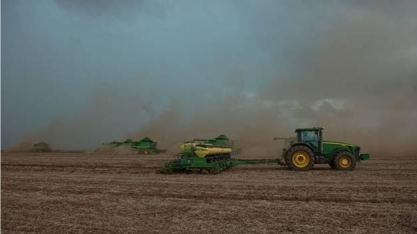 Chuvas abundantes em fevereiro ameaçam colheita de soja