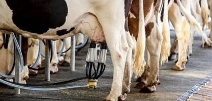 Aquisição de leite cresce 4,1% em 2017, depois de dois anos de quedas