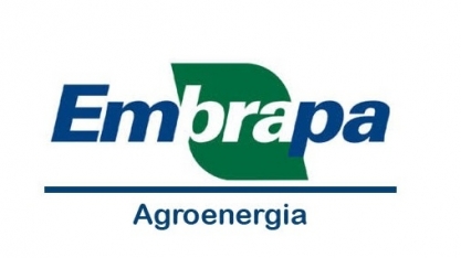 Cana transgênica resistente a herbicida e a inseto-praga 