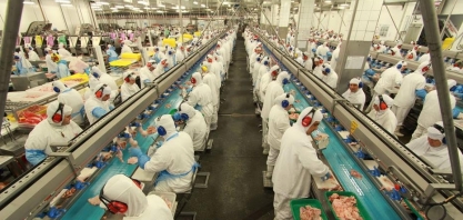 Crise na BRF deverá ser longa, dizem analistas