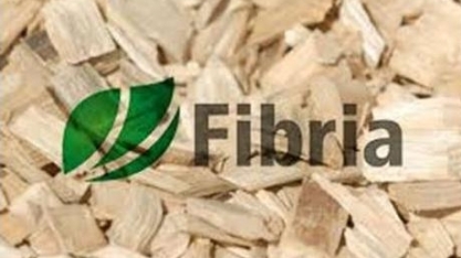 Paper Excellence eleva oferta por Fibria para R$71,50 por ação