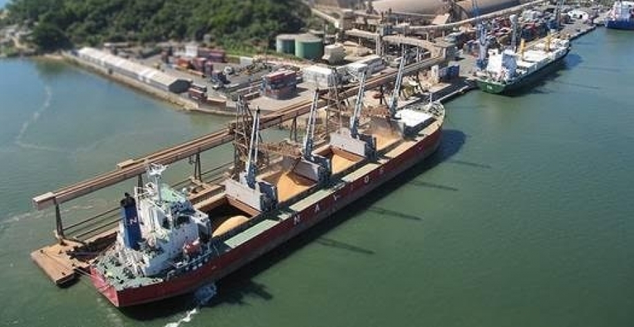 Incidente paralisa escoamento de soja  em porto de SC