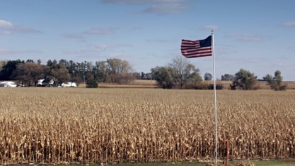 Estoque de milho deve cair nos EUA com maior exportação e uso para etanol