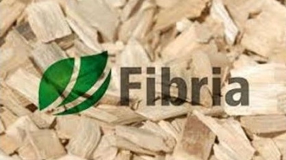 Fibria eleva preços da celulose em todos os mercados a partir de abril