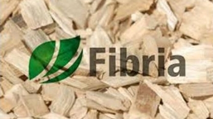 Controladores da Fibria confirmam proposta da Paper Excellence pela empresa