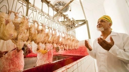 Brasil ainda tenta evitar exigência saudita para frango