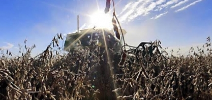 Quebra de safra de soja na Argentina salva o Brasil