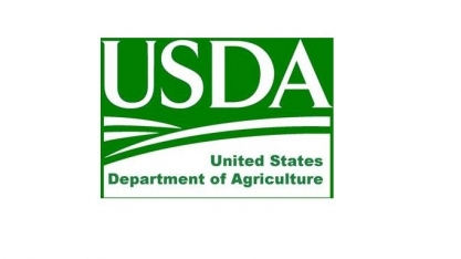 USDA eleva safra de soja do Brasil a 113 mi ton e corta a da Argentina   