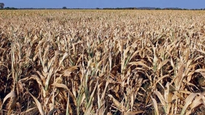 Pior seca em 30 anos aumenta problemas econômicos da Argentina