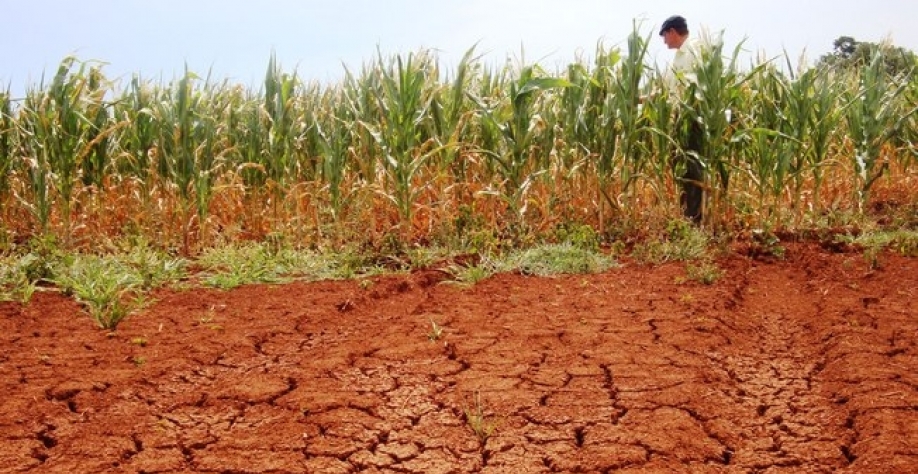 O elevado ‘custo agrícola’ dos desastres naturais e das guerras