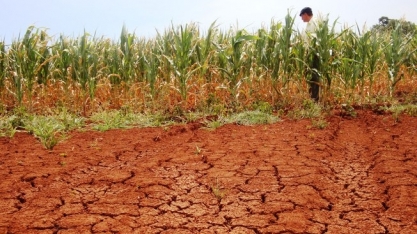 O elevado ‘custo agrícola’ dos desastres naturais e das guerras