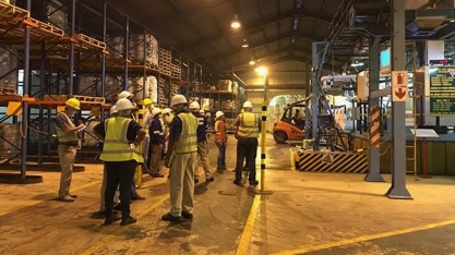 Brazil Sugarcane Bioenergy Solution leva empresas à América Central