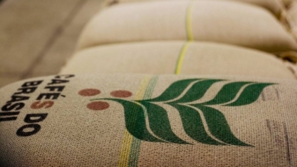 Produtores já comercializaram 85% da safra de café da safra 2017/18 