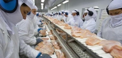 Abate de frangos cai 0,3% em 2017,após quatro anos consecutivos de avanços