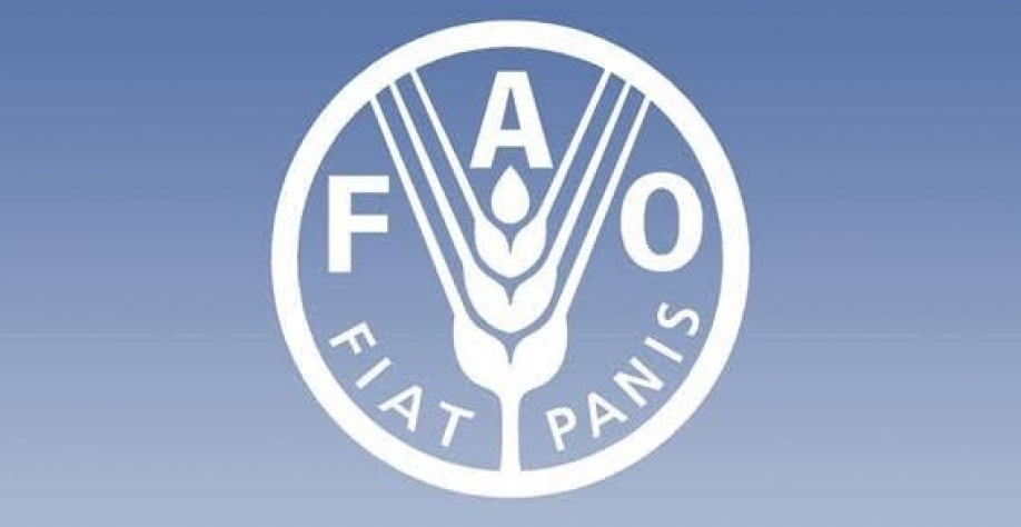  Em cinco anos, área irrigada no Brasil pode crescer 65% 