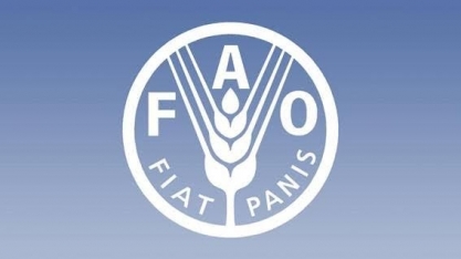  Em cinco anos, área irrigada no Brasil pode crescer 65% 