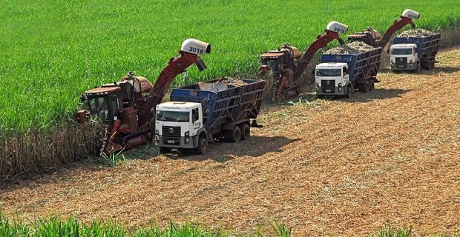 MG: Novo tempo para o açúcar e o etanol – Por Marta Vieira