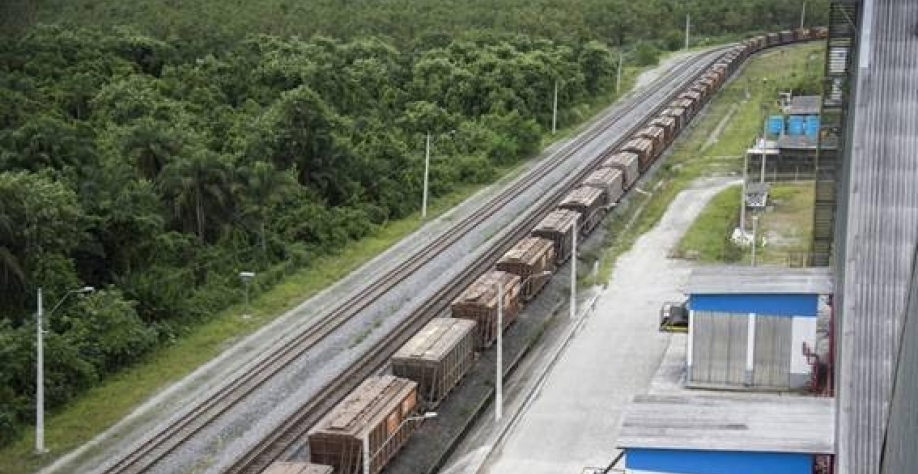Trem de grãos para carregamento em navio em terminal do porto de Santos (SP)