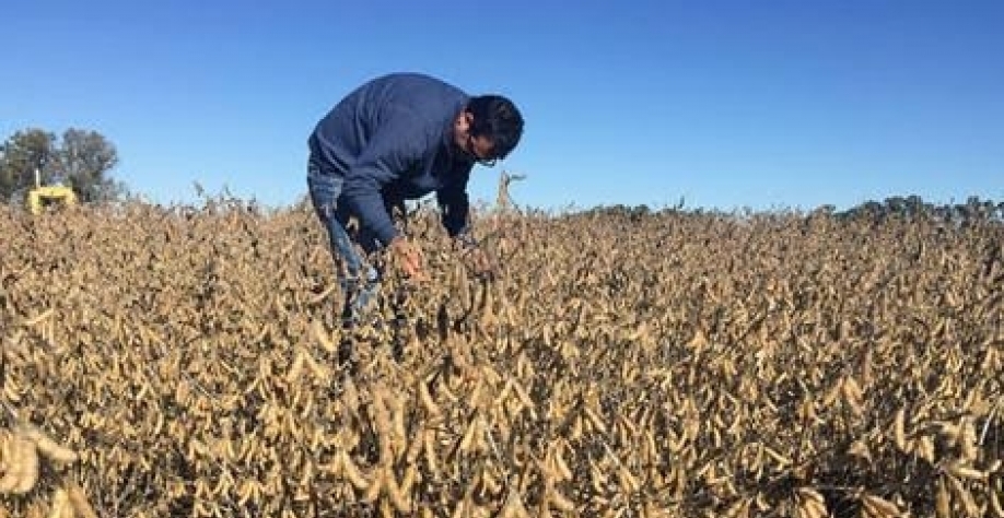  Argentina abre espaço para novas altas de grãos