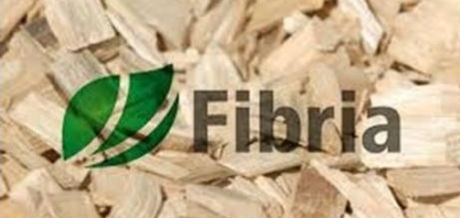 Suzano compra Fibria e cria gigante global de celulose de R$ 84 bi 